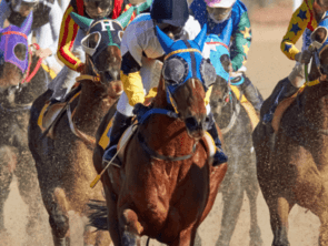 Video Horse Racing