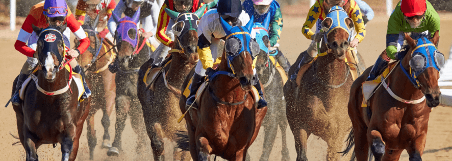 Video Horse Racing